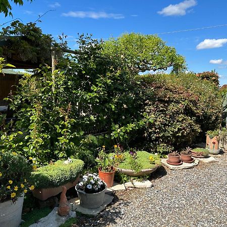La Casa Di Biba Bed & Breakfast Massa Lombarda Eksteriør bilde