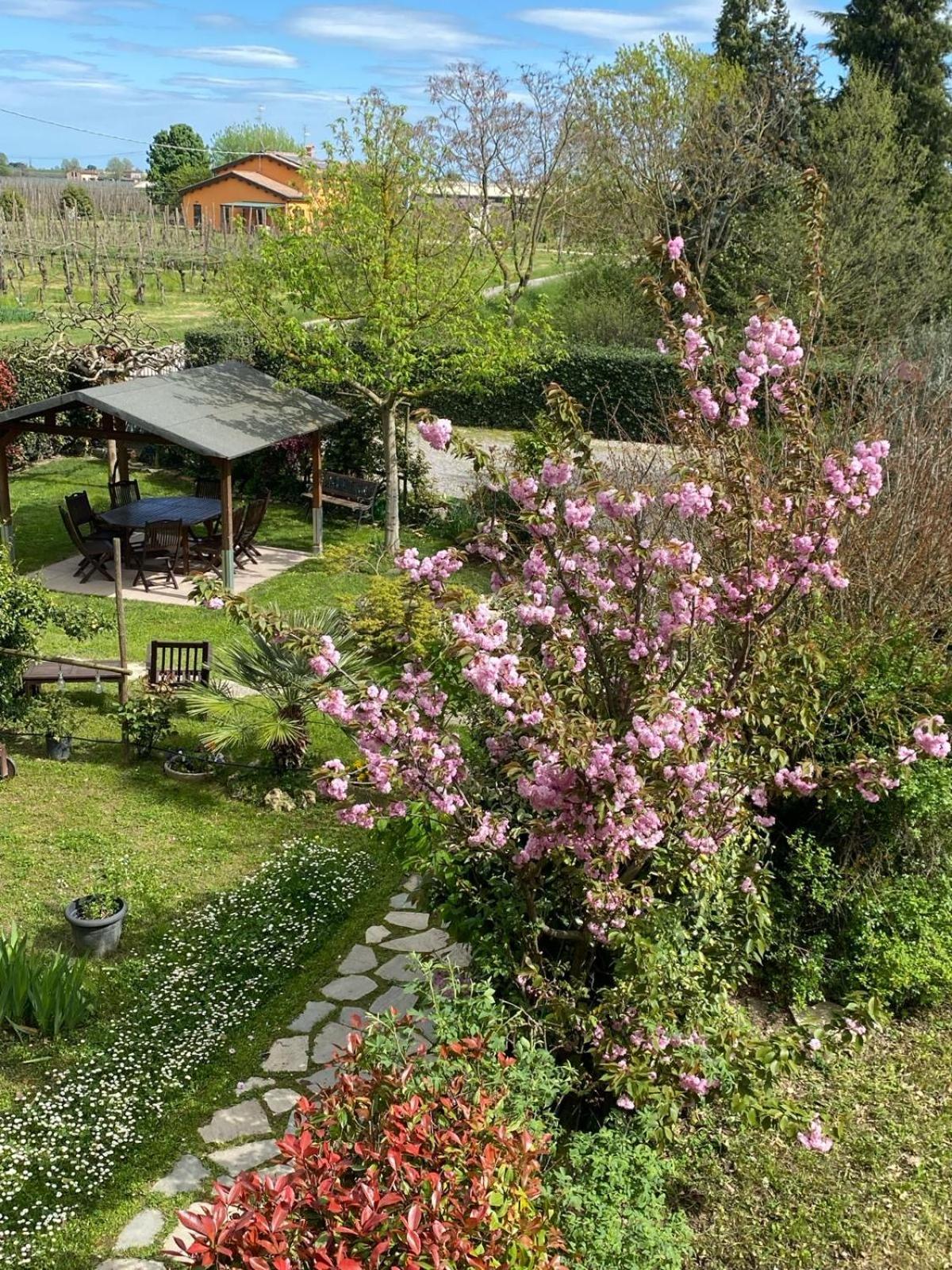 La Casa Di Biba Bed & Breakfast Massa Lombarda Eksteriør bilde