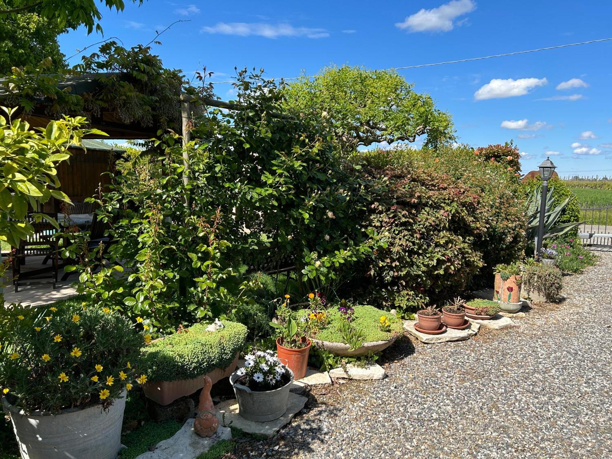 La Casa Di Biba Bed & Breakfast Massa Lombarda Eksteriør bilde
